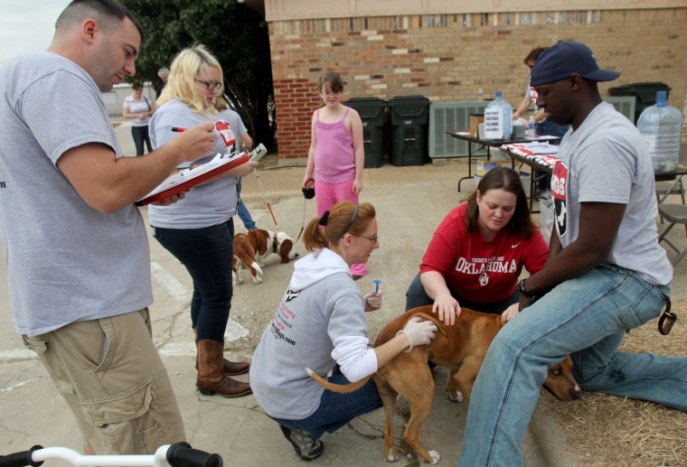 Pet microchipping